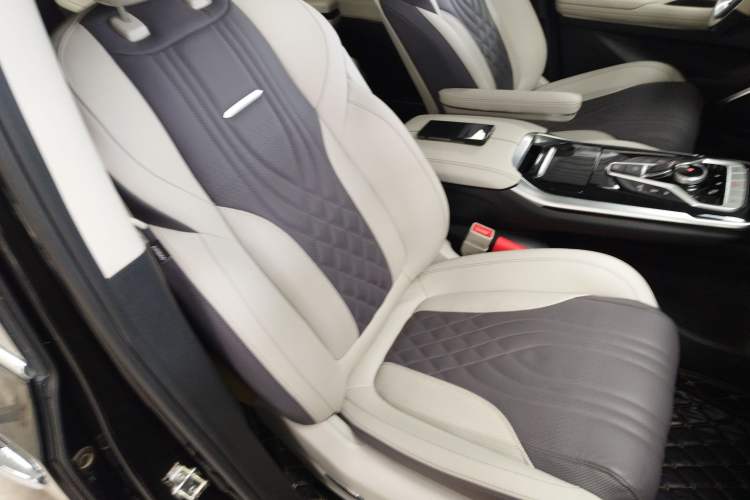 Used SAIC MAXUS G20 2020 2.0T Gasoline Automatic ZhiZun Edition Right Front Seat