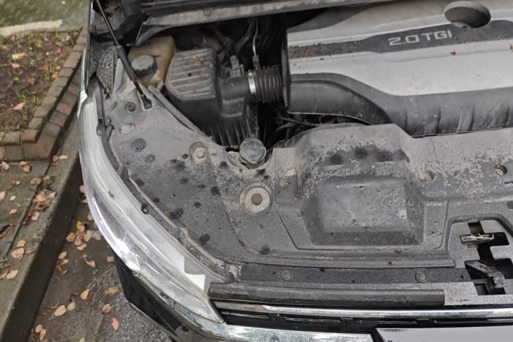 Used SAIC MAXUS G20 2020 2.0T Gasoline Automatic Flagship Edition Engine Bay Right