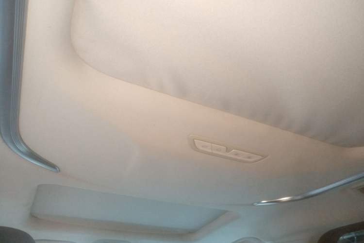 Used SAIC MAXUS G20 2020 2.0T Gasoline Automatic ZhiZun Edition Headliner