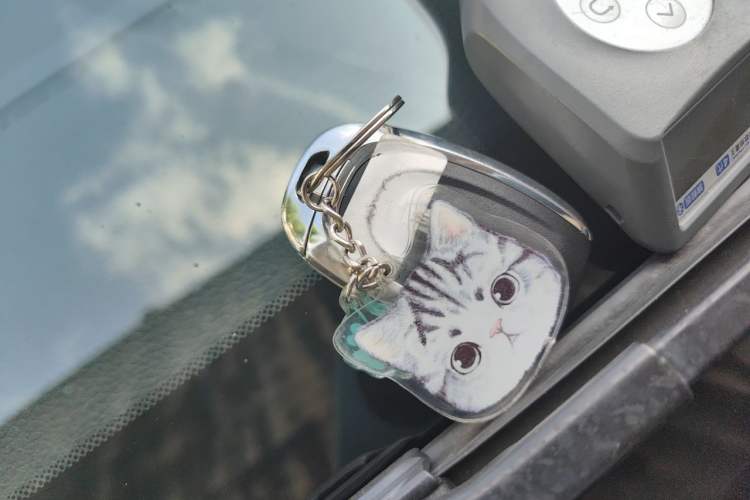 Used SAIC MAXUS G20 2020 2.0T Gasoline Automatic ZhiZun Edition Vehicle Key