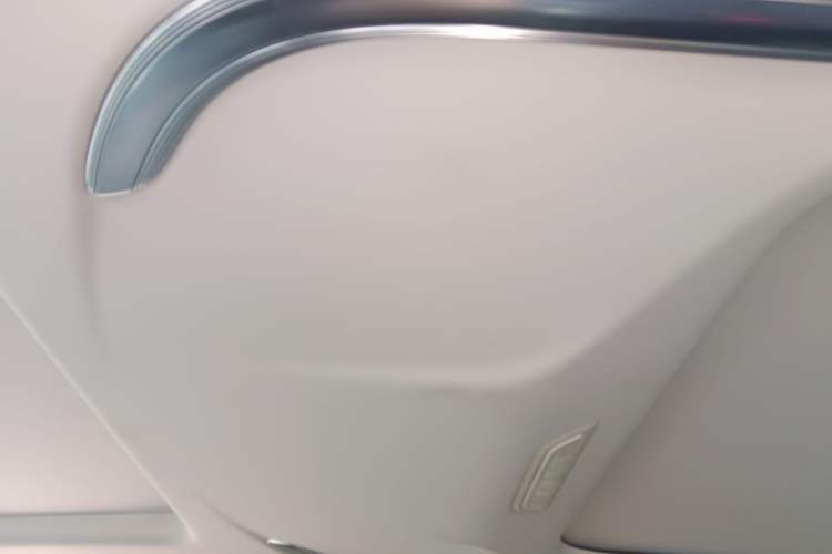 Used SAIC MAXUS G20 2020 2.0T Gasoline Automatic Luxury Executive Edition Headliner