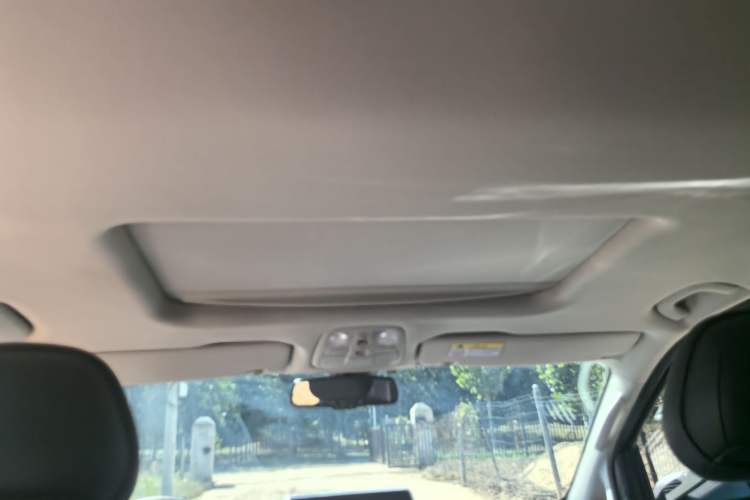 Used SAIC MAXUS G20 2020 2.0T Gasoline Automatic Executive Edition Headliner