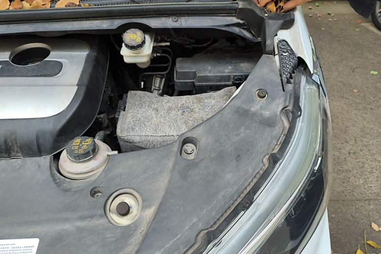 Used SAIC MAXUS G20 2020 2.0T Gasoline Automatic Luxury Edition Engine Bay Left