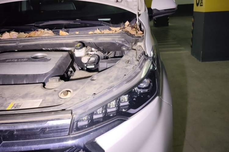 Used SAIC MAXUS G20 2020 2.0T Gasoline Automatic ZhiZun Edition Engine Bay Left