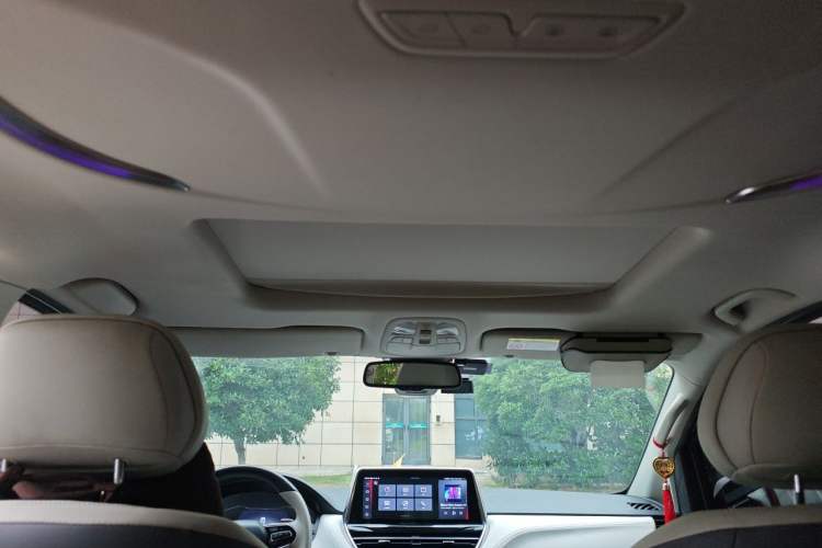 Used SAIC MAXUS G20 2020 2.0T Gasoline Automatic ZhiZun Edition Headliner