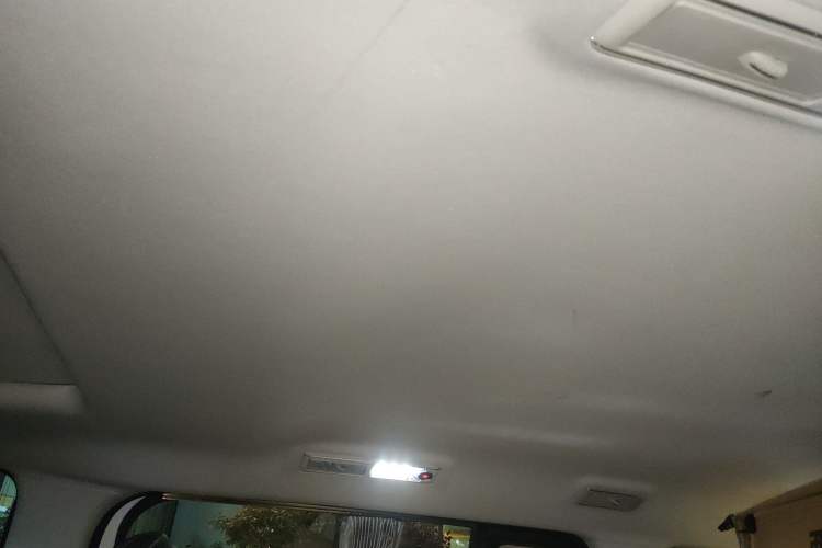 Used SAIC MAXUS G20 2020 2.0T Gasoline Automatic Executive Edition Headliner