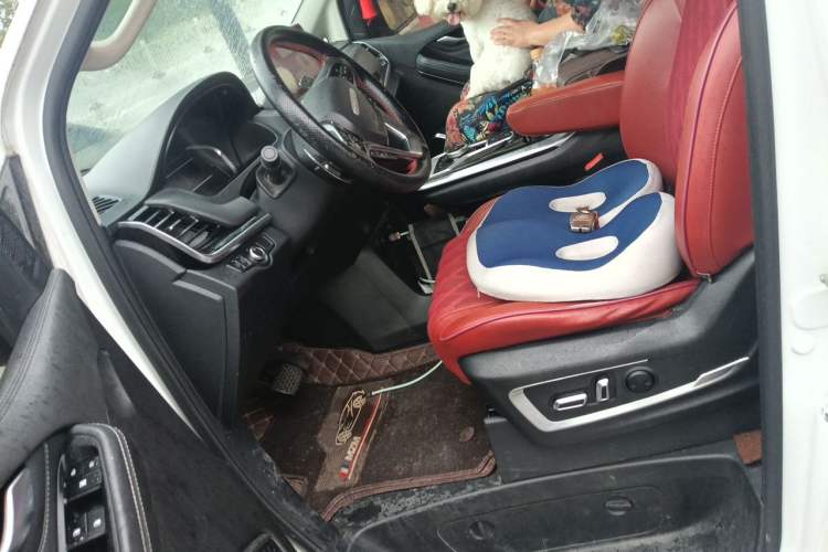 Used SAIC MAXUS G20 2020 2.0T Gasoline Automatic Luxury Edition Left Front Seat