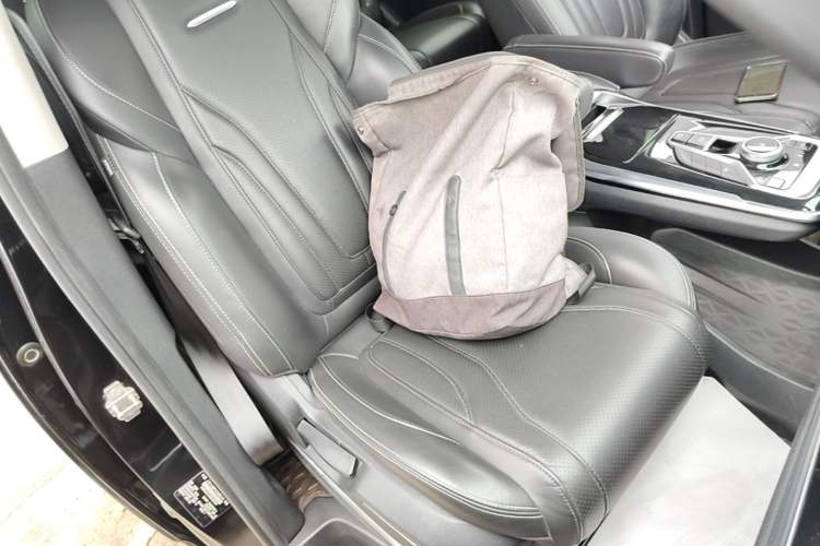 Used SAIC MAXUS G20 2021 Facelifted PLUS 2.0T Gasoline Automatic Luxury Edition Right Front Seat