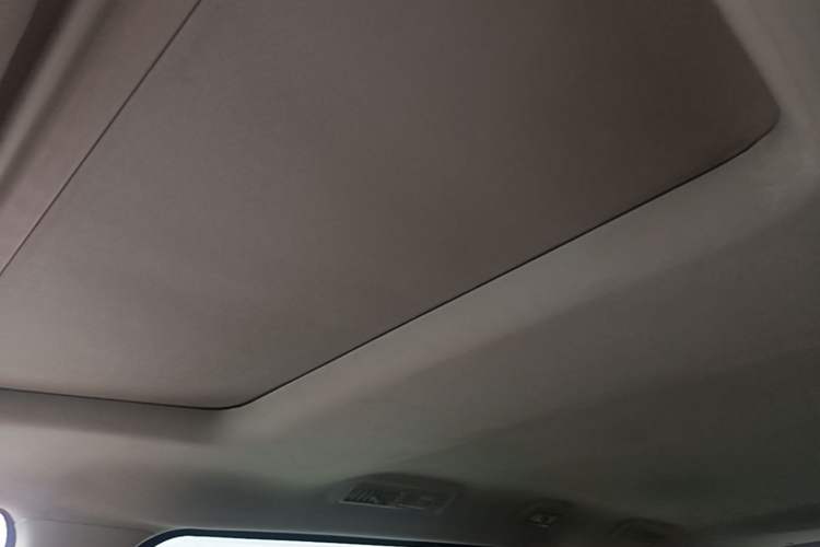 Used SAIC MAXUS G20 2021 PLUS 2.0T Gasoline Automatic Luxury Edition Headliner
