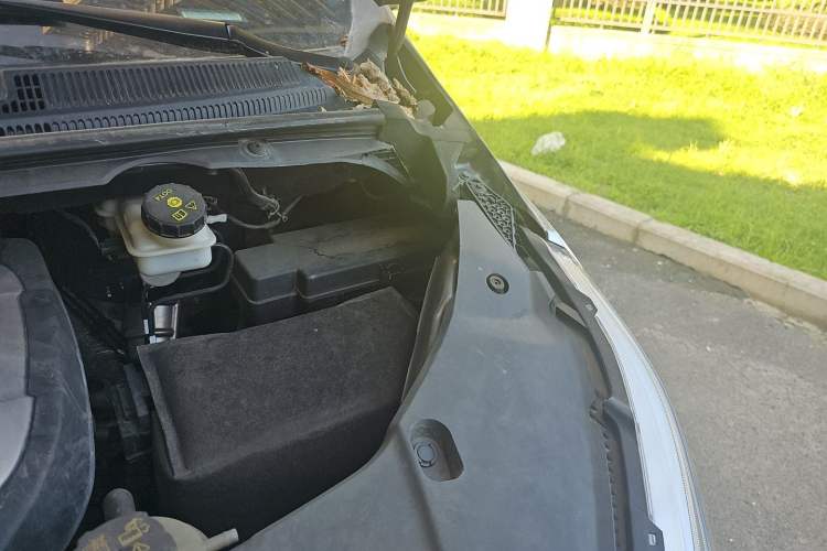 Used SAIC MAXUS G20 2021 PLUS 2.0T Gasoline Automatic Selected Executive Edition Engine Bay Left