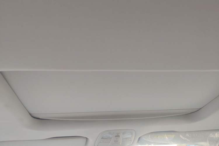 Used SAIC MAXUS G20 2021 PLUS 2.0T Gasoline Automatic Executive Edition Headliner