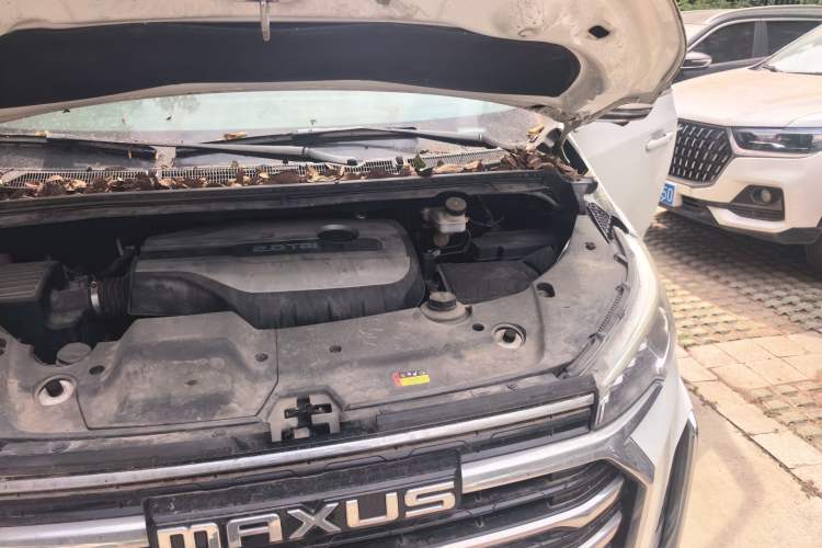 Used SAIC MAXUS G20 2021 PLUS 2.0T Gasoline Automatic Selected Executive Edition Engine Bay Left