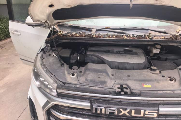 Used SAIC MAXUS G20 2021 PLUS 2.0T Gasoline Automatic Selected Executive Edition Engine Bay Right