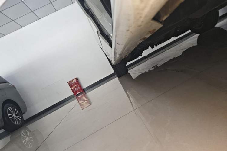 Used SAIC MAXUS G20 2021 PLUS 2.0T Gasoline Automatic ZhiZun Edition Right Side Sill