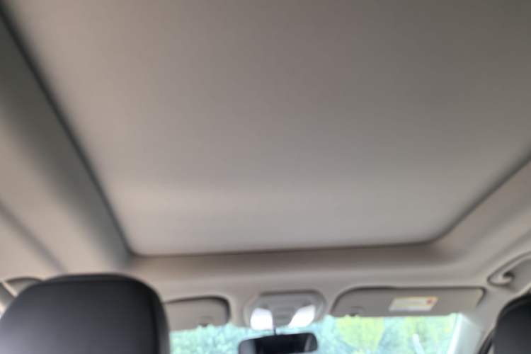 Used SAIC MAXUS G50 2019 1.5T Automatic Luxury Edition China VI Standard Headliner