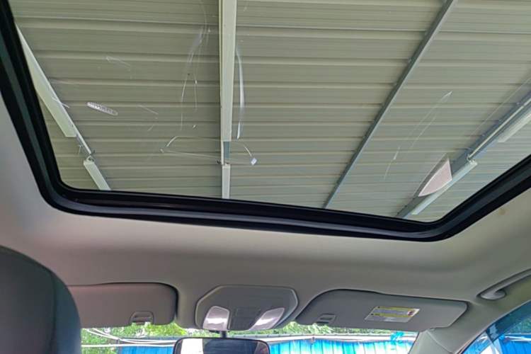 Used SAIC MAXUS G50 2019 1.5T Automatic Luxury Edition China VI Standard Headliner
