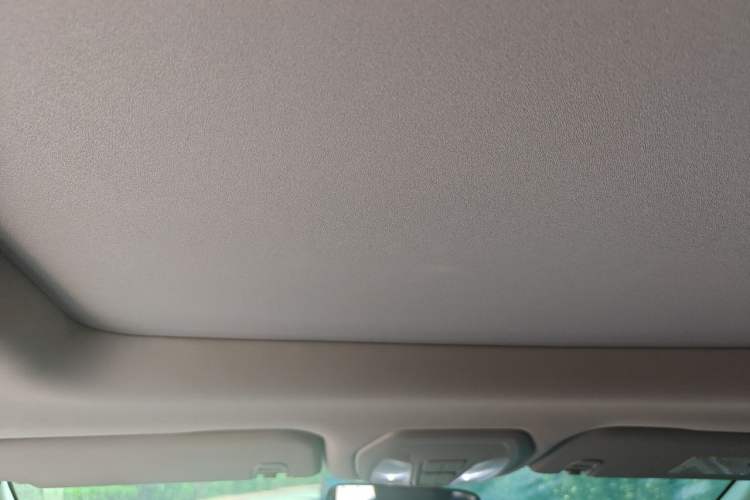 Used SAIC MAXUS G50 2019 1.5T Automatic Luxury Edition China VI Standard Headliner