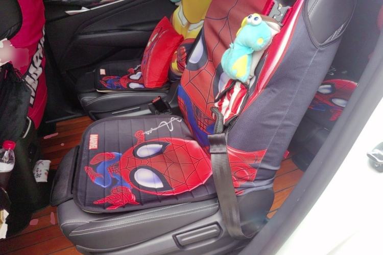 Used SAIC MAXUS G50  Left Rear Seat