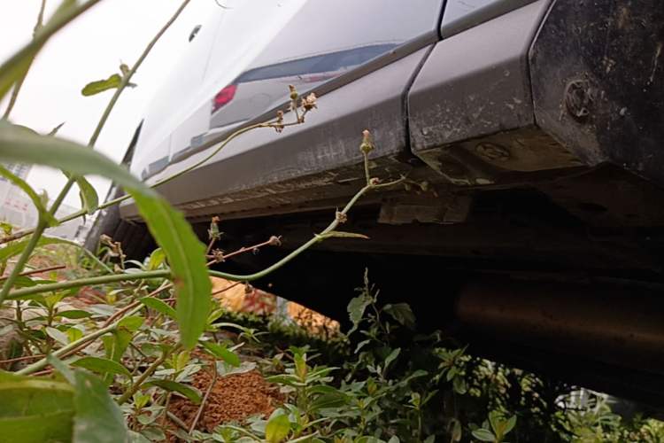 Used SAIC MAXUS G50 2023 PLUS 1.5T Automatic Cruise Version Right Side Sill