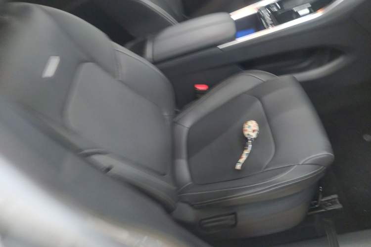 Used SAIC MAXUS G50 2023 PLUS 1.5T Automatic Custom Entry-Level Model Right Front Seat