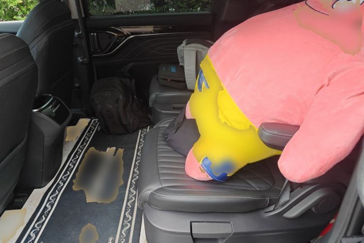 Used SAIC MAXUS G90 2022 2.0T Starry Seven-Seater Left Rear Seat