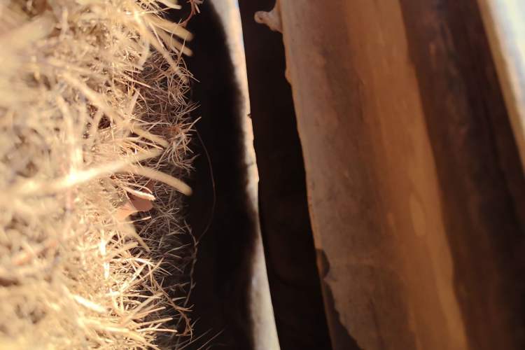 Used SAIC MAXUS G90 2022 2.0T Galaxy Seven-Seater Version Chassis Rear Left