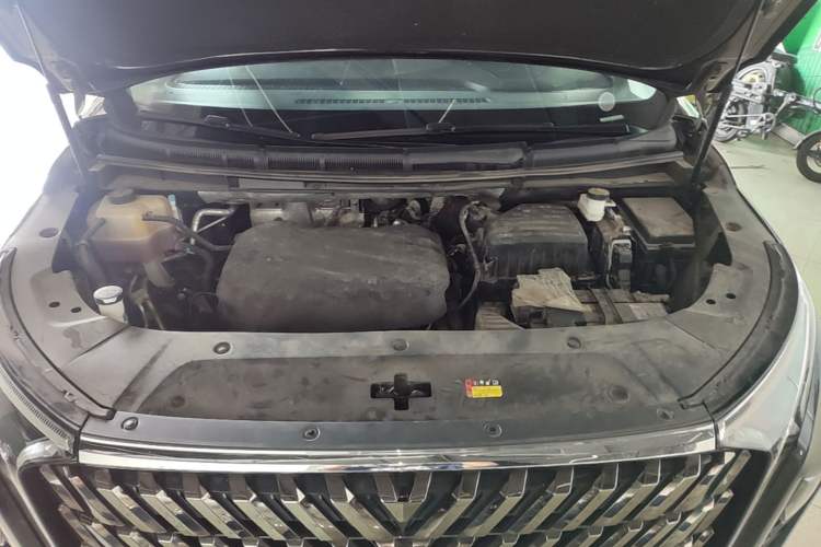 Used SAIC MAXUS G90 2023 2.0T Galaxy Seven-Seater Edition Engine Bay