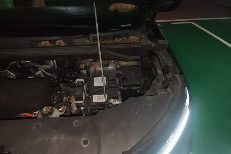 Used SAIC MAXUS G50 PHEV 2025 Flagship Edition Engine Bay Left