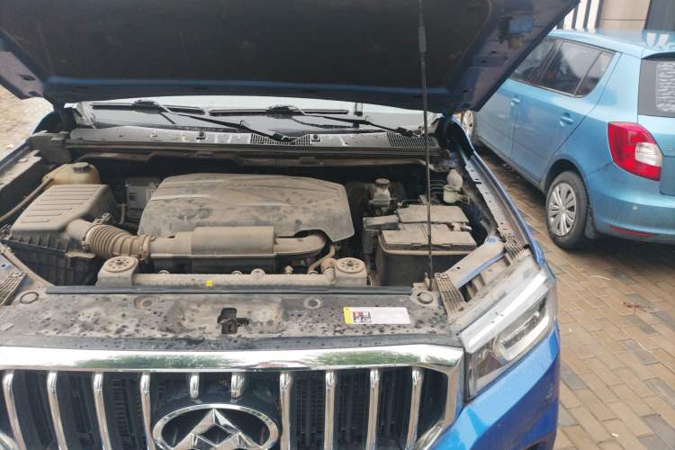 Used SAIC MAXUS T60 2017 2.0T Gasoline Automatic Two-Wheel Drive High-Ride Elite Standard Cabin Engine Bay Left