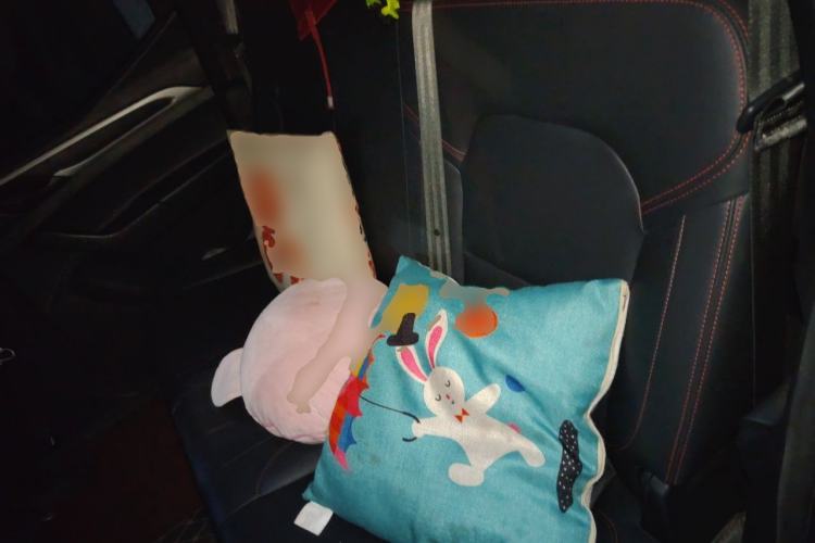 Used SAIC MAXUS T60 2017 2.4L Gasoline Manual Two-Wheel Drive High-Ride Elite Standard Van Left Rear Seat