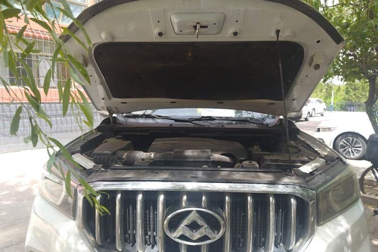 Used SAIC MAXUS T60 2017 2.0T Gasoline Automatic 4x4 High-Ride Elite Standard Cabin Engine Bay