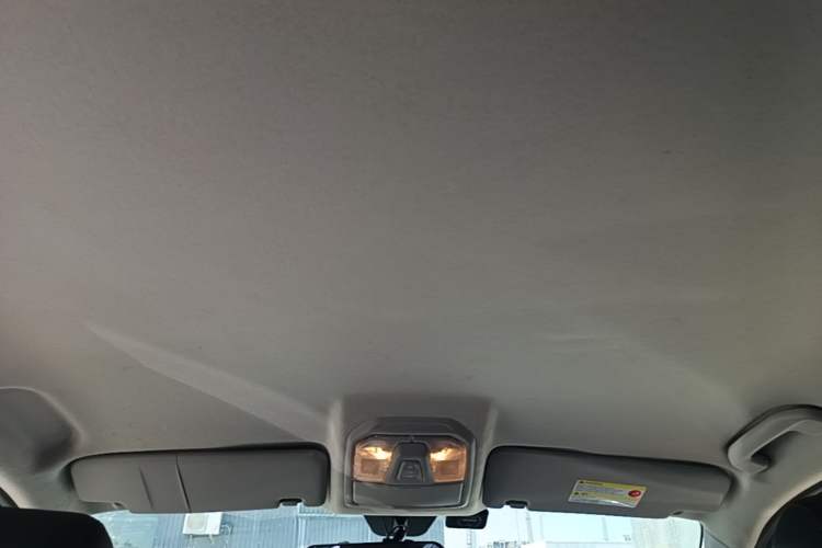 Used SAIC MAXUS T60 2017 2.0T Gasoline Automatic Two-Wheel Drive High-Ride Elite Standard Cabin Headliner
