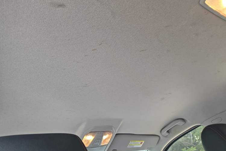 Used SAIC MAXUS T60 2019 2.4L Gasoline Manual Two-Wheel-Drive High-Ride Pioneer Edition Standard Cab Headliner