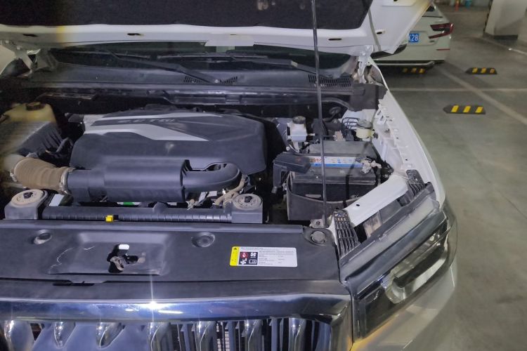 Used SAIC MAXUS T60 2019 2.0T Gasoline Automatic Two-Wheel Drive High-Profile Elite Version Standard Cabin China VI Standard Engine Bay Left