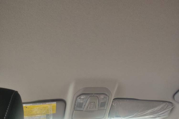 Used SAIC MAXUS T60 2020 2.0T Diesel Manual 4x4 High-Ride Pioneer Edition Long Wheelbase China VI Standard Headliner