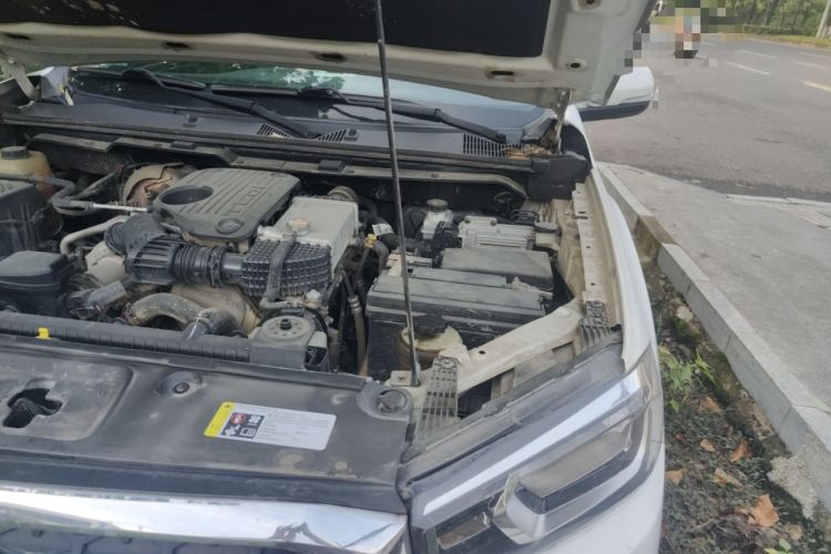Used SAIC MAXUS T70 2019 2.0T Diesel Automatic Two-Wheel Drive Comfort Edition Standard Box with High Chassis Engine Bay Left