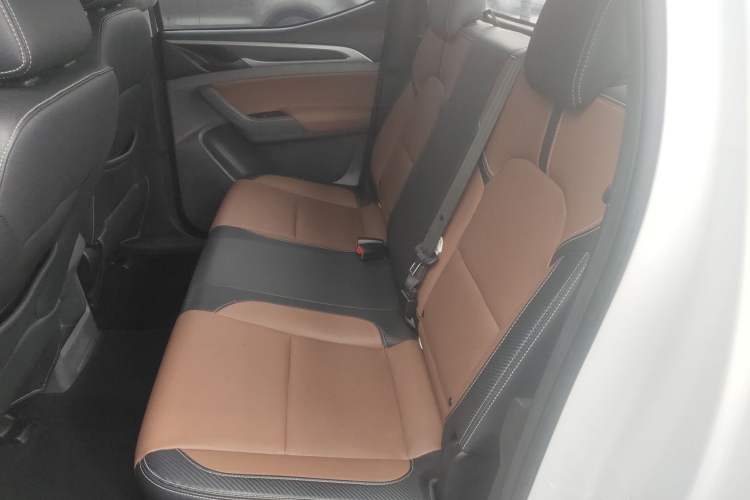 Used SAIC MAXUS T70 2019 2.0T Diesel Manual Two-Wheel Drive Comfort Version Standard Box High Chassis Left Rear Seat