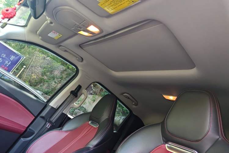 Used SAIC MAXUS T90 2021 2.0T Twin-Turbo Automatic All-Wheel Drive High-Ride Luxury Extended-Size Version Headliner