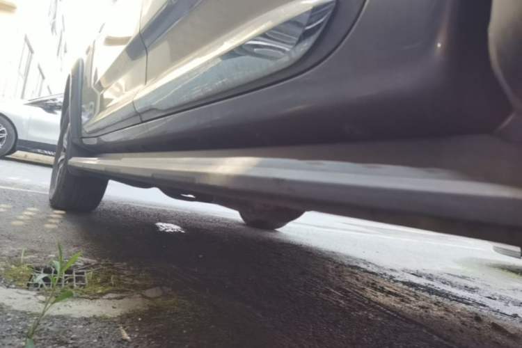 Used SAIC MAXUS T90 2021 2.0T Twin-Turbo Automatic Two-Wheel Drive High-Ride Luxury Standard Cab Left Side Sill