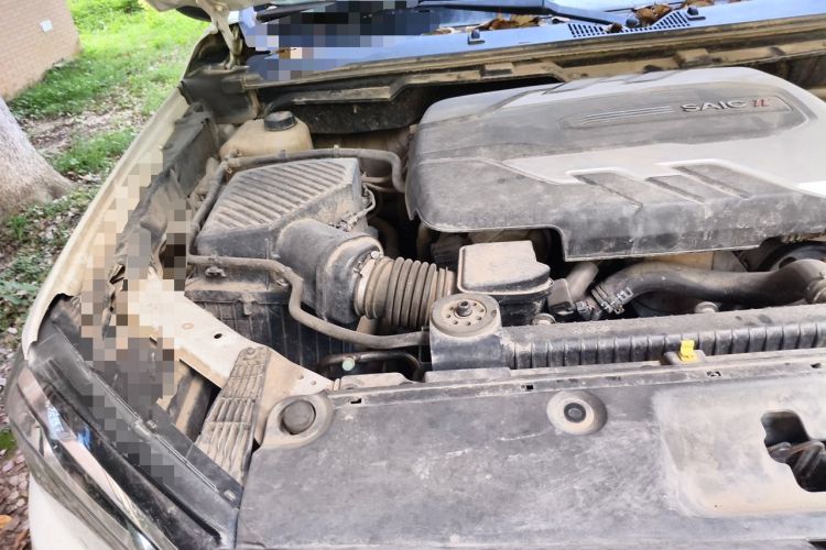 Used SAIC MAXUS T90 2021 2.0T Single-Turbo Automatic Two-Wheel Drive High-Ride Comfort Edition Standard Cab Engine Bay Right
