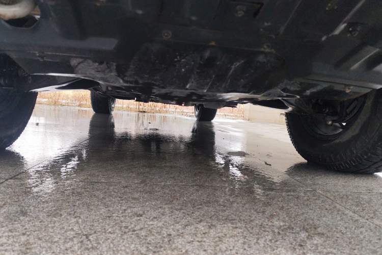Used SAIC MAXUS T90 2022 2.0T Diesel Automatic 4x4 SAIC Bull—Demon Standard Cab Chassis Front