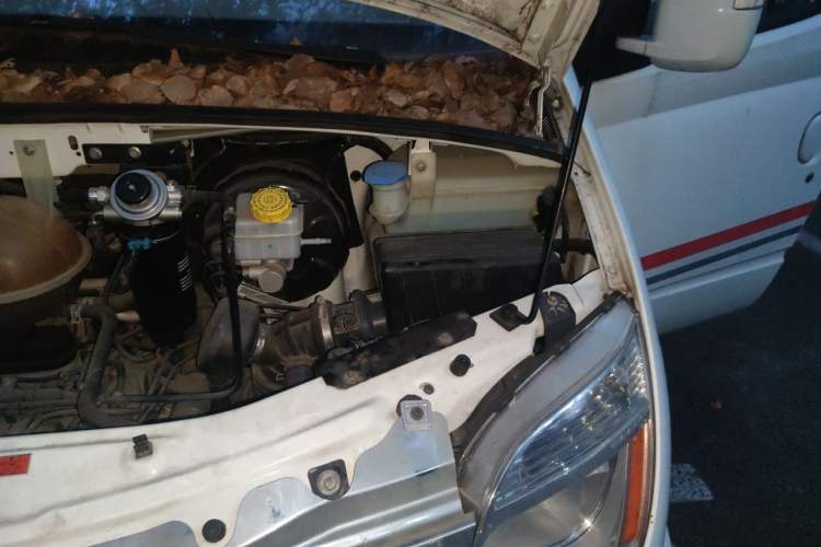 Used SAIC MAXUS V80 RV  Engine Bay Left