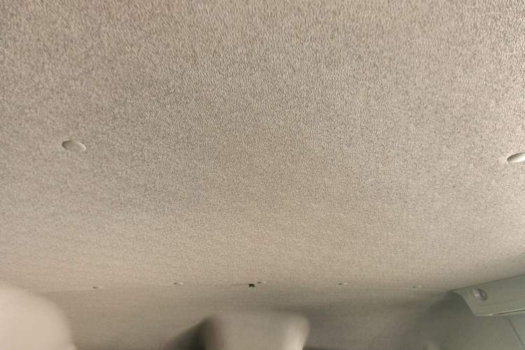 Used SAIC MAXUS V80 RV  Headliner