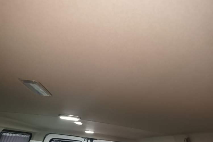 Used SAIC MAXUS Xintu V80  Headliner