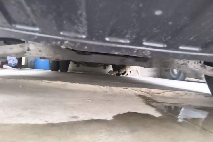 Used SAIC MAXUS Xintu V90 2019 2.0T Manual ZhiDa Rear-Drive Double-Tire Extended-Wheelbase High-Roof 9-Seater Chassis Front
