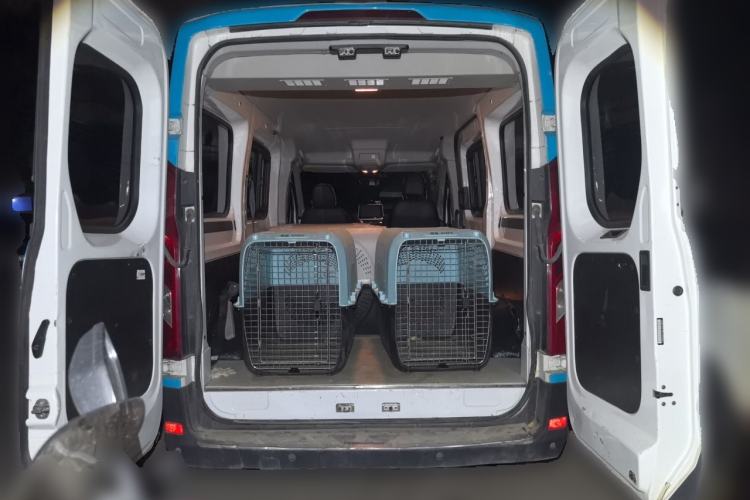 Used SAIC MAXUS Xintu V90 2019 2.0T Automatic Zhi Du Xing Rear-Drive Single Tire Long Wheelbase High-Roof 7-Seater Trunk