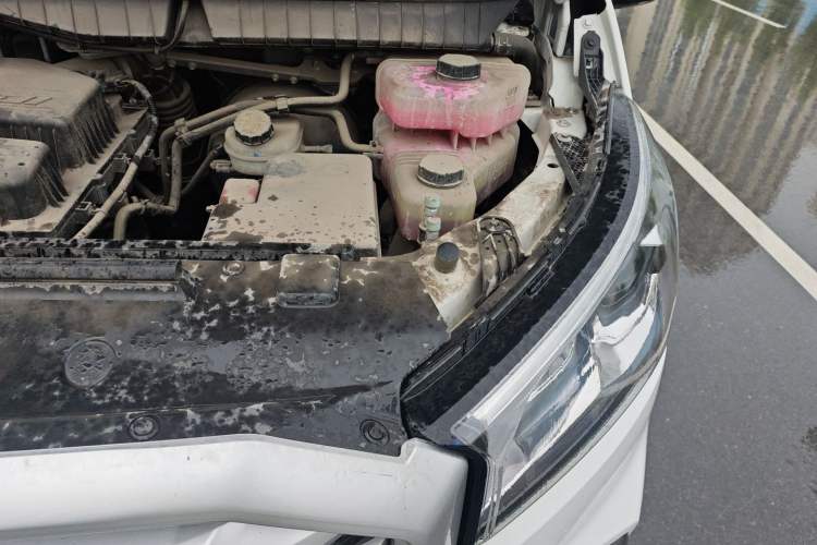 Used SAIC MAXUS Xintu V90 2020 2.0T AMT Yunjie Edition Front-Wheel Drive Rear Single Tire Short Wheelbase Mid-Height 6-Seater Engine Bay Left
