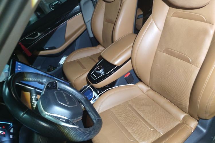 Used SERES SF5 2020 Four-Wheel Drive High-Performance Sports Edition Left Front Seat
