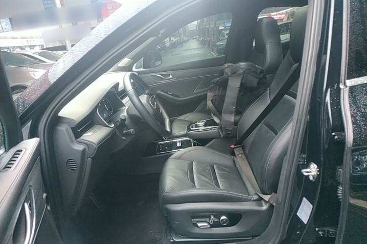 Used SERES SF5 2020 Four-Wheel Drive High-Performance Sports Edition Left Front Seat