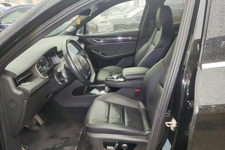 Used SERES SF5 2020 Two-Wheel Drive High-Performance Sports Edition Left Front Seat
